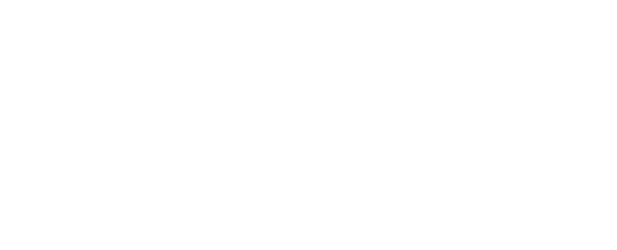 Dijital Rozet